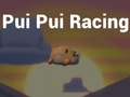 Spill Pui Pui Racing