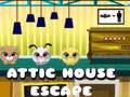 Spill Attic House Escape