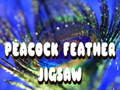 Spill Peacock Feather Jigsaw
