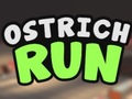 Spill Ostrich Run