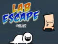 Spill Lab Escape Online