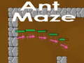 Spill Ant maze