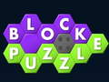Spill Block Puzzle 