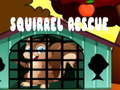 Spill Squirrel Rescue