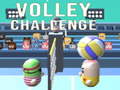 Spill Volley Challenge