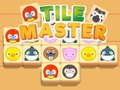 Spill Tile Master Match