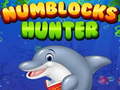 Spill Numblocks Hunter