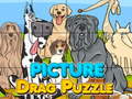 Spill Picture Drag Puzzle