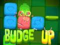 Spill Budge Up