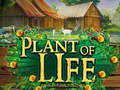 Spill Plant of Life