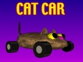 Spill Cat Car