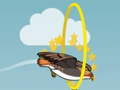 Spill Flying bird