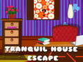 Spill Tranquil House Escape