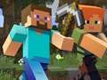 Spill Minecraft Hidden Items