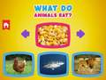 Spill What Do Animals Eat?