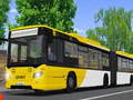 Spill Public Transport Simulator 2021