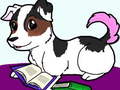 Spill Pets Slide