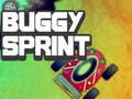 Spill Buggy Sprint