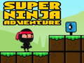Spill Super Adventure Ninja