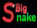Spill Big Snake