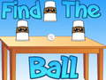 Spill Find The Ball