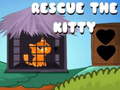 Spill Rescue the kitty