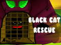 Spill Black Cat Rescue