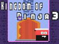 Spill Kingdom of Ninja 3