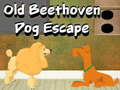 Spill Old Beethoven Dog Escape