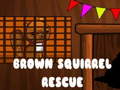 Spill Brown Squirrel Rescue