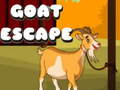 Spill Goat Escape