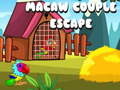 Spill Macaw Couple Escape