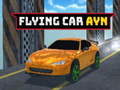 Spill Flying Car Ayn