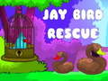 Spill Jay Bird Rescue