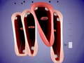 Spill Funny Chorus