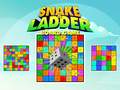 Spill Snake and Ladder Board Game