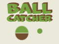 Spill Ball Catcher