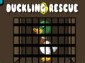 Spill Duckling Rescue