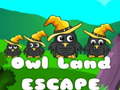 Spill Owl Land Escape