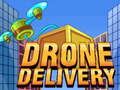 Spill Drone Delivery