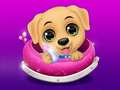 Spill My Little Pet Salon