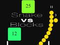 Spill Snake vs Blocks 