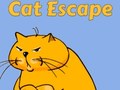 Spill Cat Escape