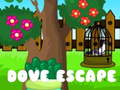 Spill Dove Escape