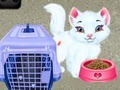 Spill Baby Taylor Pet Care