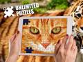 Spill Unlimited Puzzles