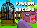 Spill Pigeon Escape