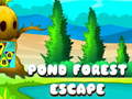 Spill Pond Forest Escape