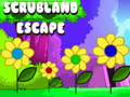 Spill Scrubland Escape