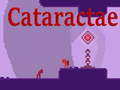 Spill Cataractae